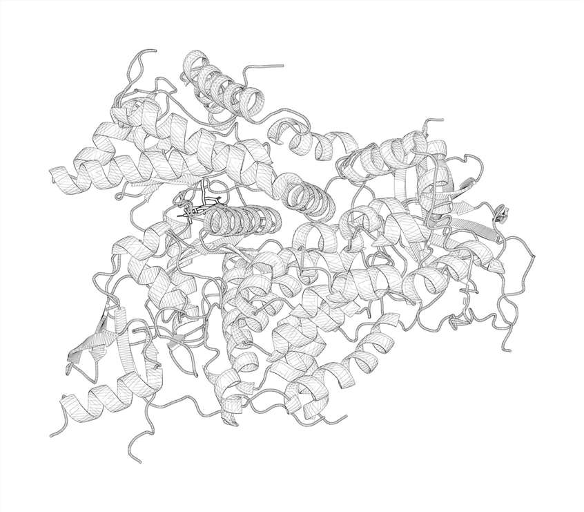 PI 3-Kinases (Phosphoinositide 3-Kinases) - Creative BioMart 
